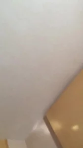 星野亚希视频